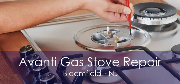 Avanti Gas Stove Repair Bloomfield - NJ