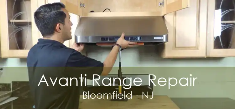 Avanti Range Repair Bloomfield - NJ
