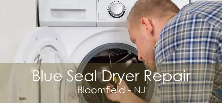 Blue Seal Dryer Repair Bloomfield - NJ