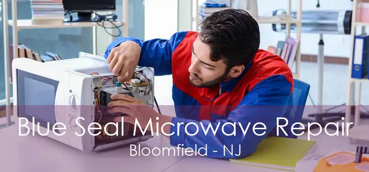 Blue Seal Microwave Repair Bloomfield - NJ