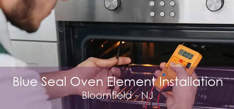 Blue Seal Oven Element Installation Bloomfield - NJ