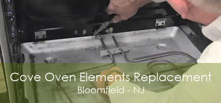 Cove Oven Elements Replacement Bloomfield - NJ