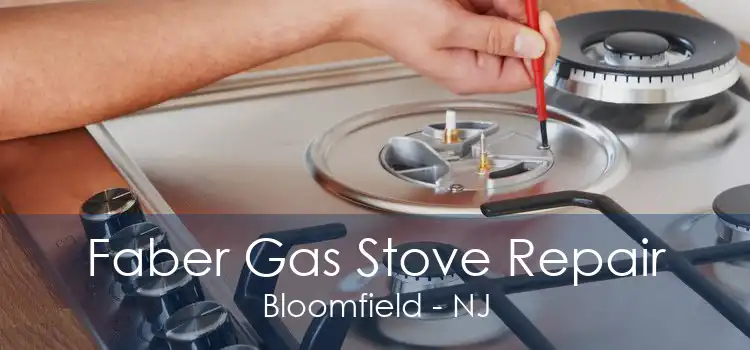 Faber Gas Stove Repair Bloomfield - NJ