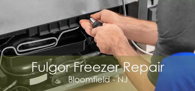 Fulgor Freezer Repair Bloomfield - NJ
