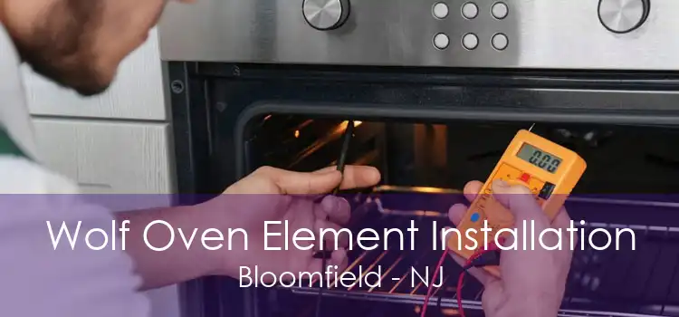 Wolf Oven Element Installation Bloomfield - NJ