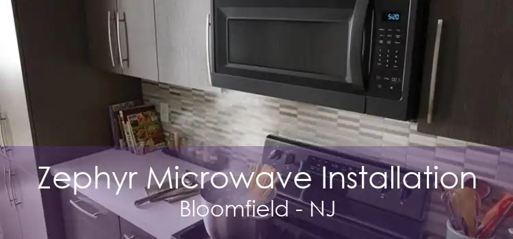 Zephyr Microwave Installation Bloomfield - NJ